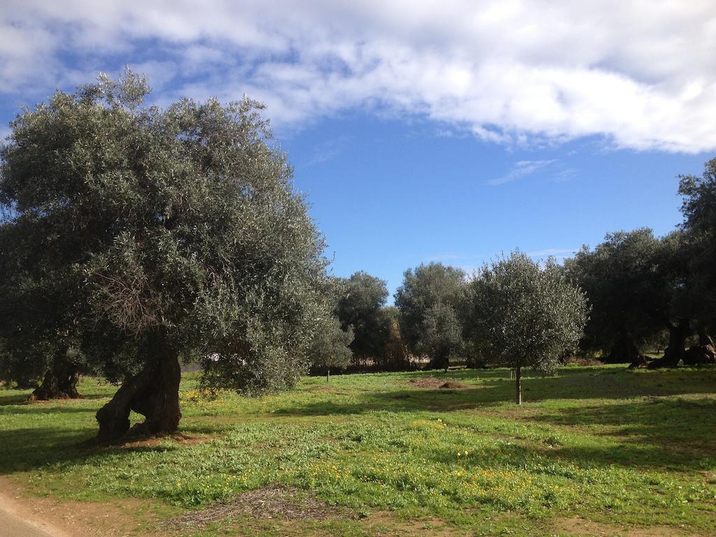 B&B Le Vele Maruggio Εξωτερικό φωτογραφία